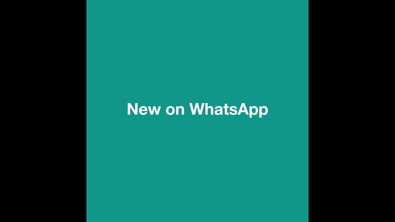 WhatsApp traz novas figurinhas e QR Code como novidade para usuários