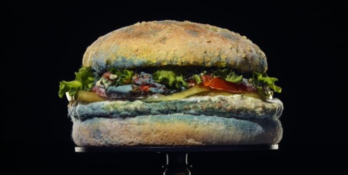 Burger King revoluciona categoria fast-foods em ‘Nada Além de Whopper’