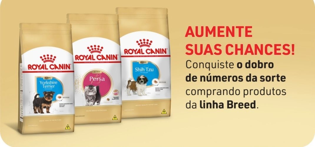 Promoção da Royal Canin “Tudo para o meu filhote” premia com um ano de alimentação e consultoria comportamental para pets
