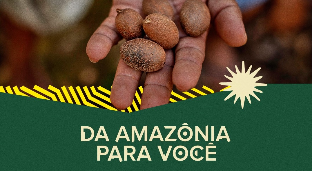Dia da Amazônia Mercado Livre