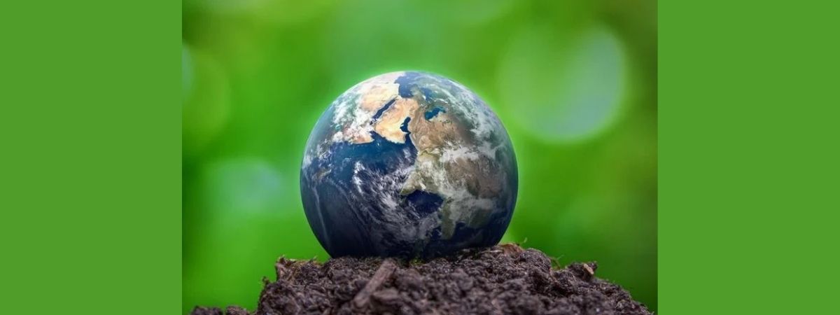 Dia da Terra: 3 estratégias para orientar as marcas