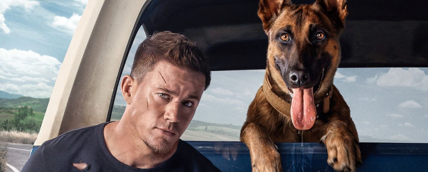 Um novo filme de cachorro está chegando aos cinemas