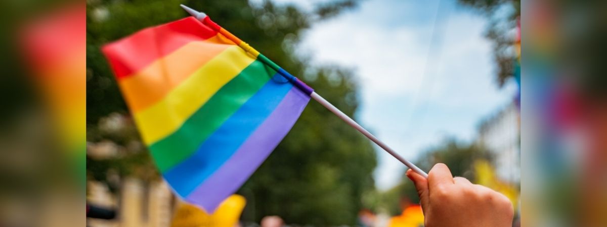 É mês do orgulho LGBTQ; saiba tudo por trás das celebrações