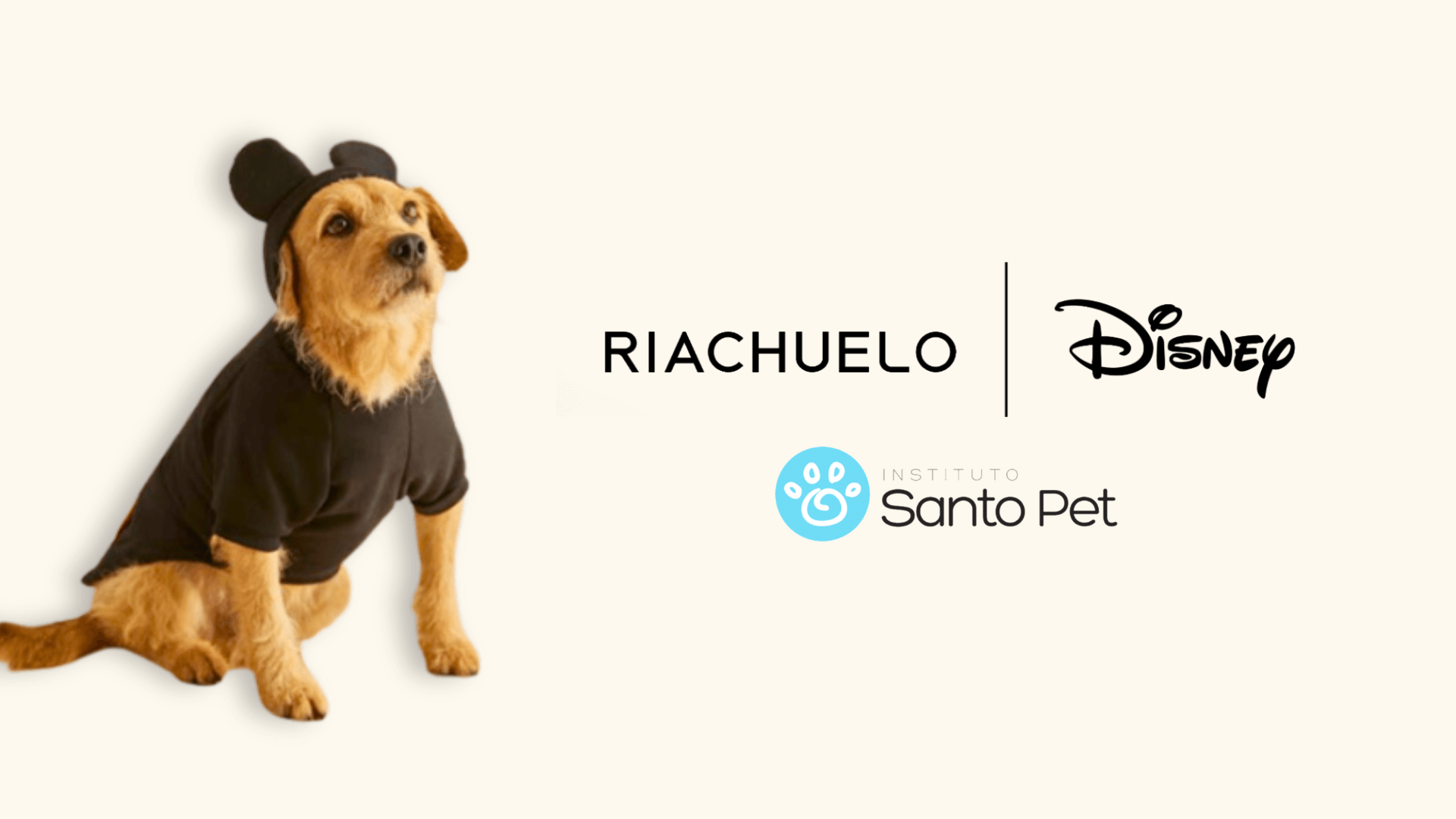 Casa Riachuelo e Disney anunciam parceria “animal” para promover Linha PETS