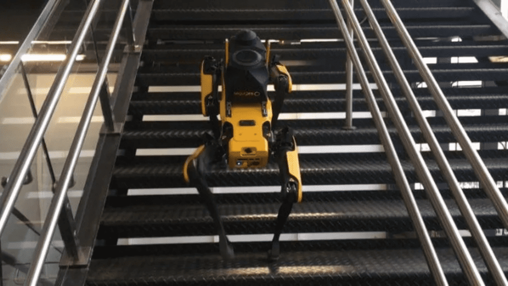 Cão-robô da Boston Dynamics, Yellow reforça a segurança no The Town